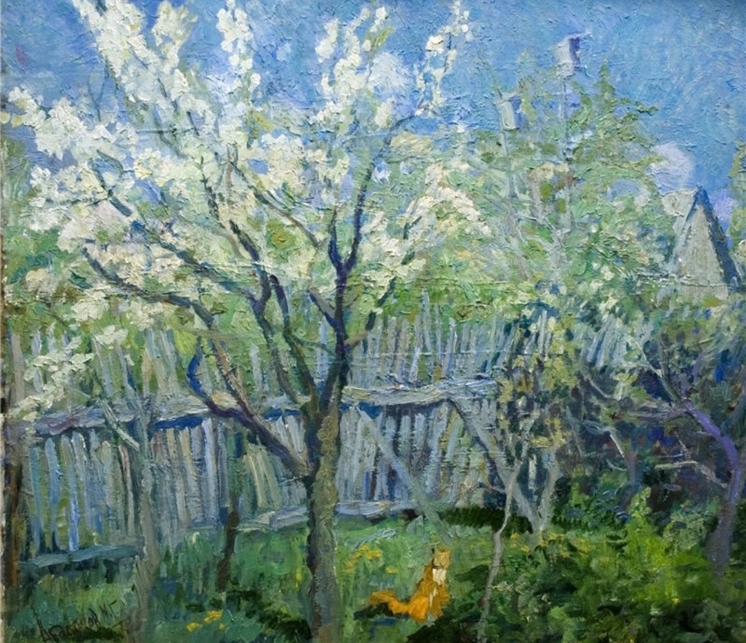 Слива цветёт .