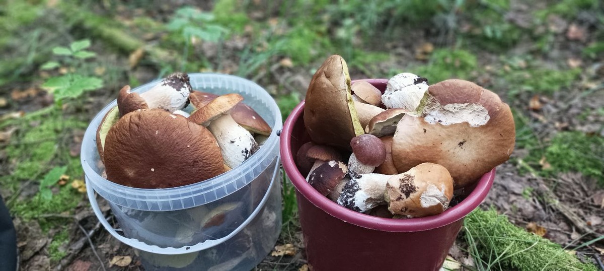 Наш сегодняшний улов