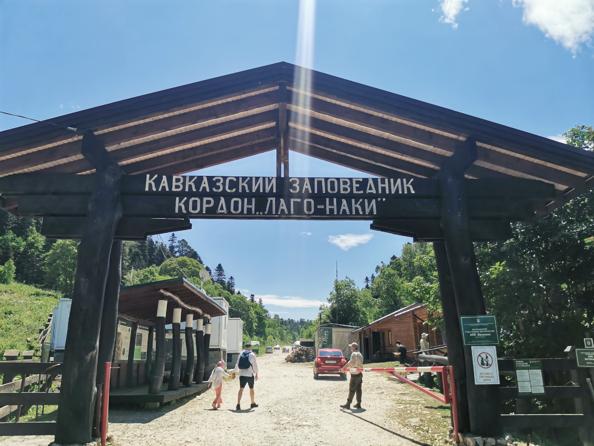 Входы Кавказского заповедника называются кордонами. В галерее все фото автора.