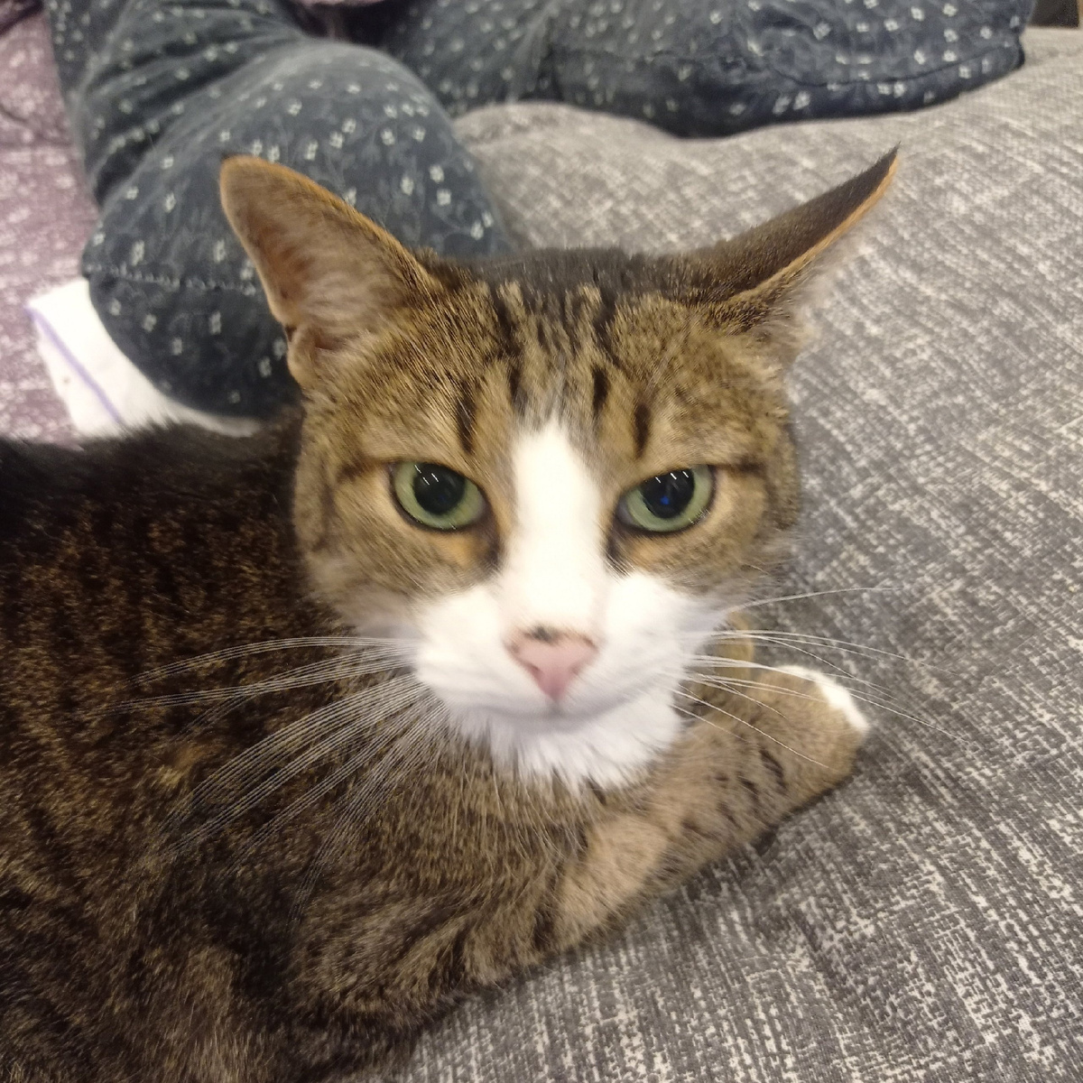 Феликс следит за моим "братанским ростом"