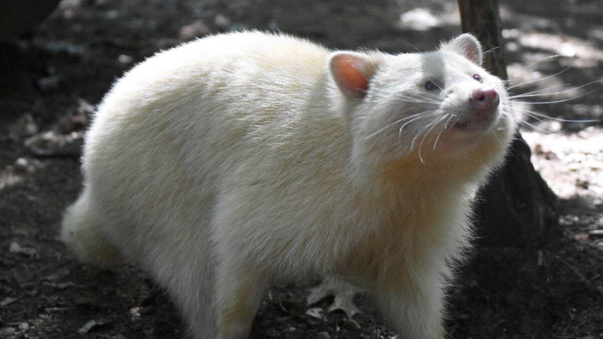    Фото: Shutterstock