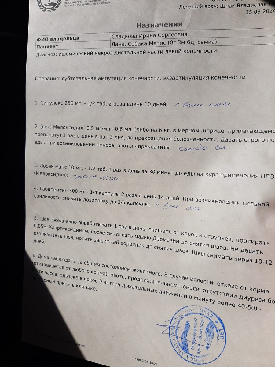 Назначение Ланы