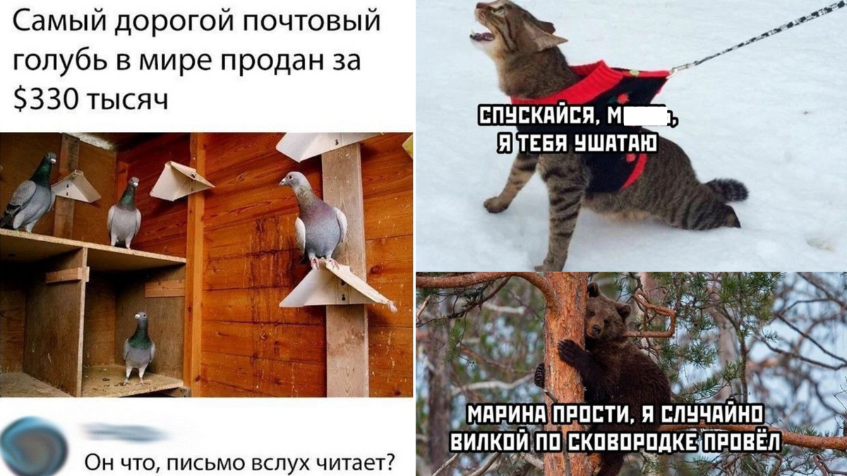 scale_1200
