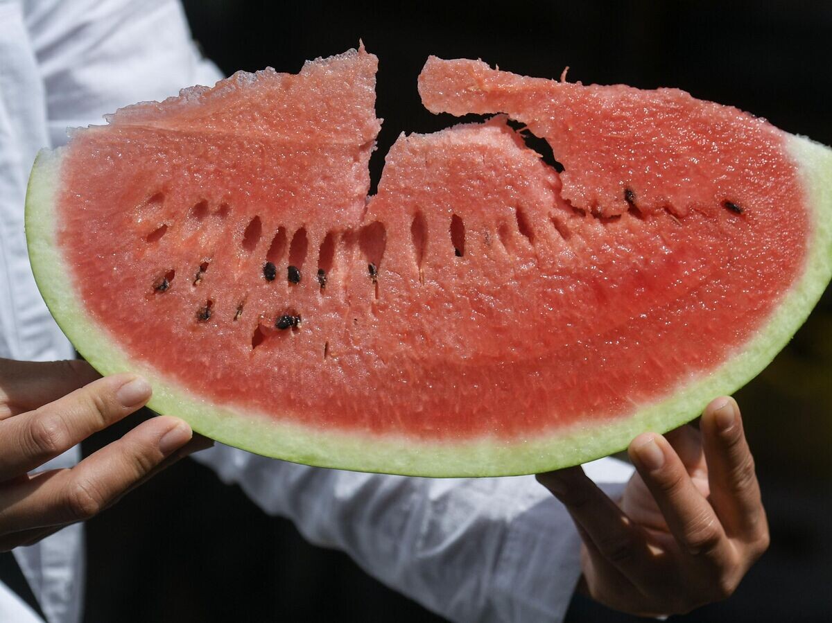    Продажа арбузов© РИА Новости / Константин Михальчевский