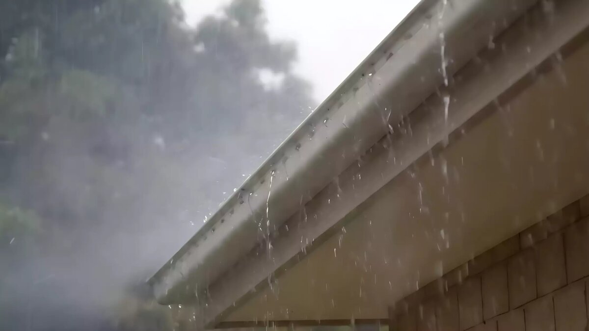     Источник: pxhere.com