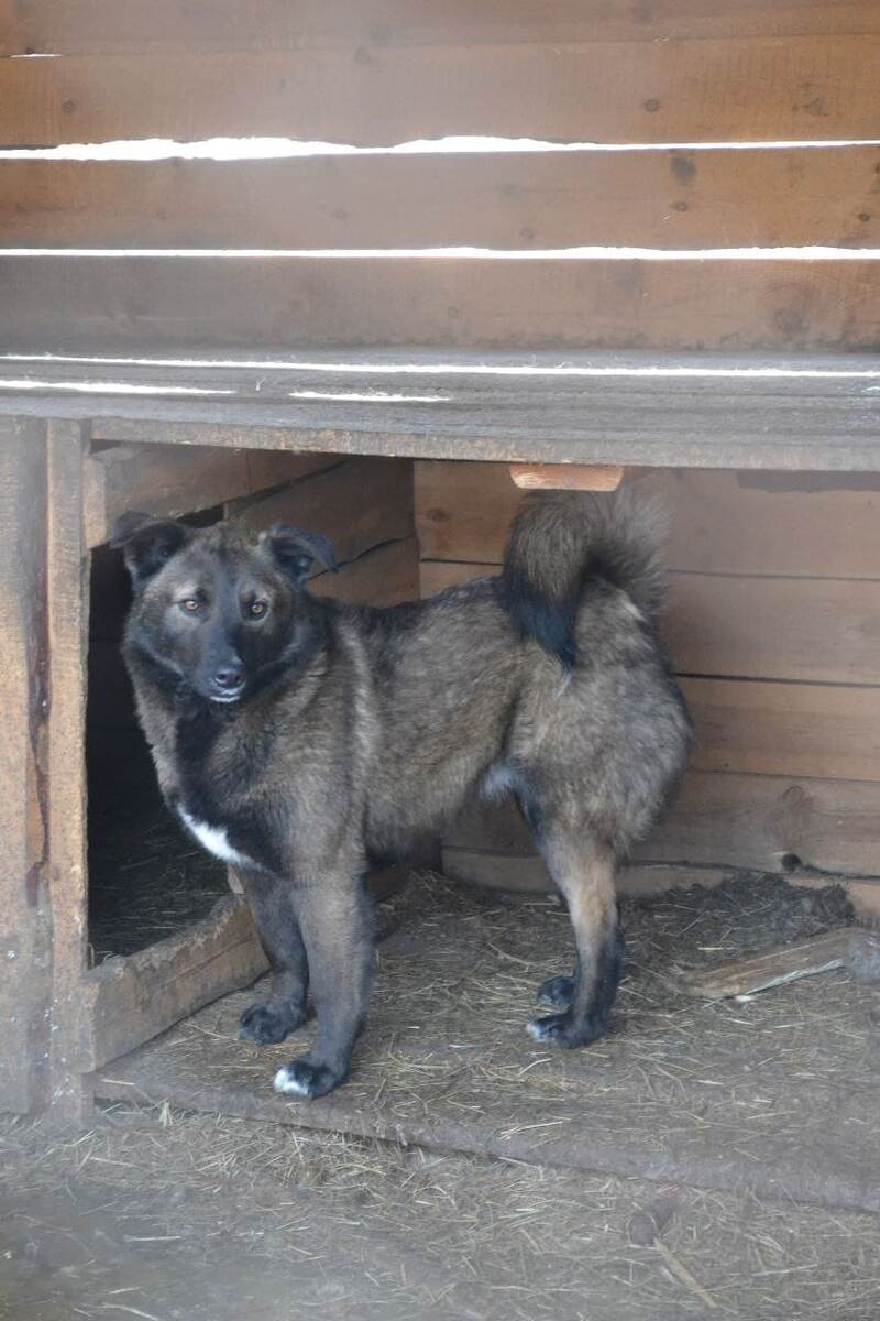 Вот такой у меня домик в приюте: чистый и уютный.