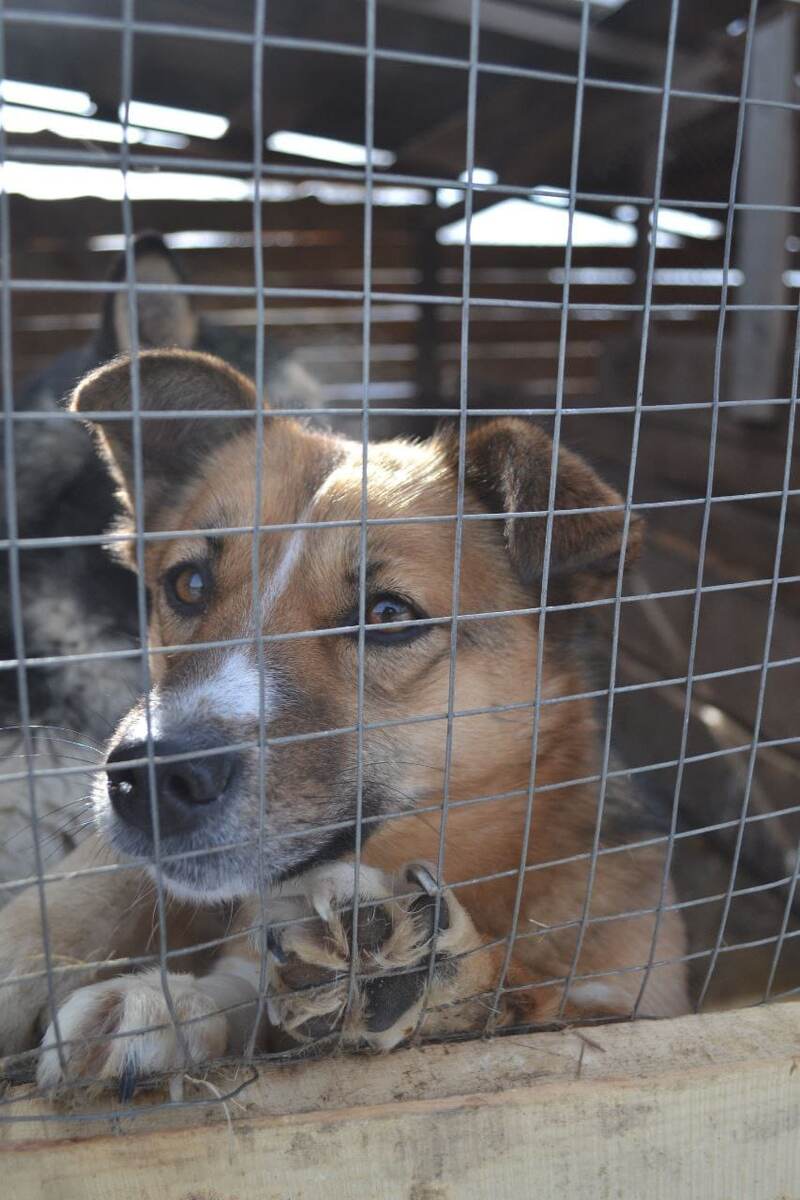 "А вкусная каша сегодня будет?"