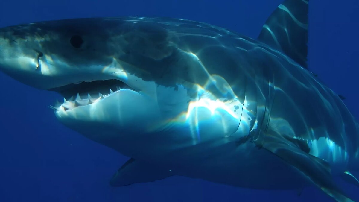     Источник: pxhere.com