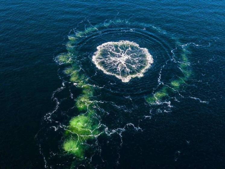   Кадр из видео