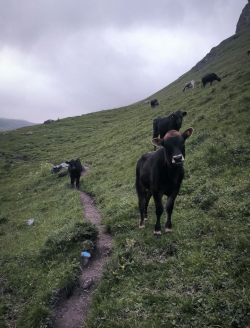Спуск к Каракайского.