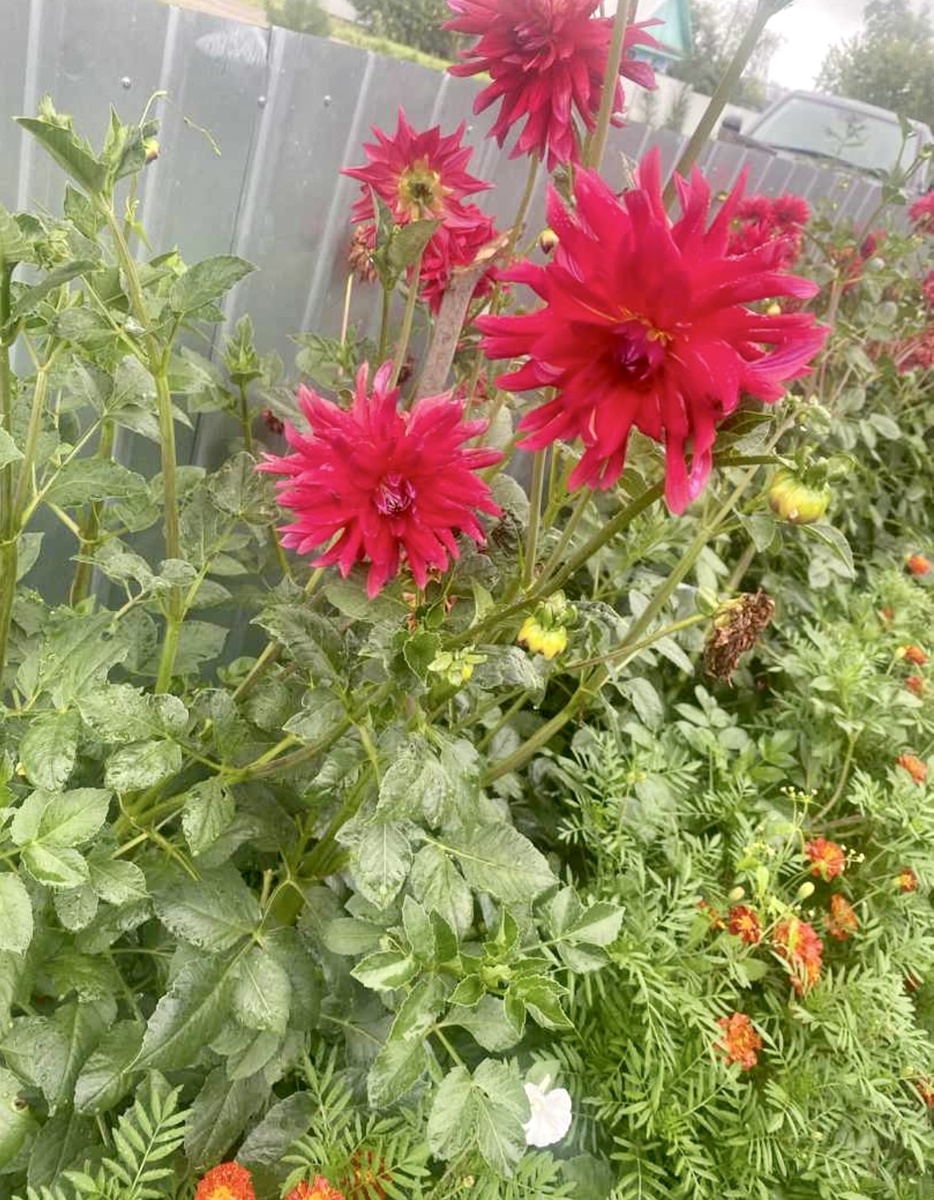 Природа, погода и общение с близкими сделали этот день незабываемым.