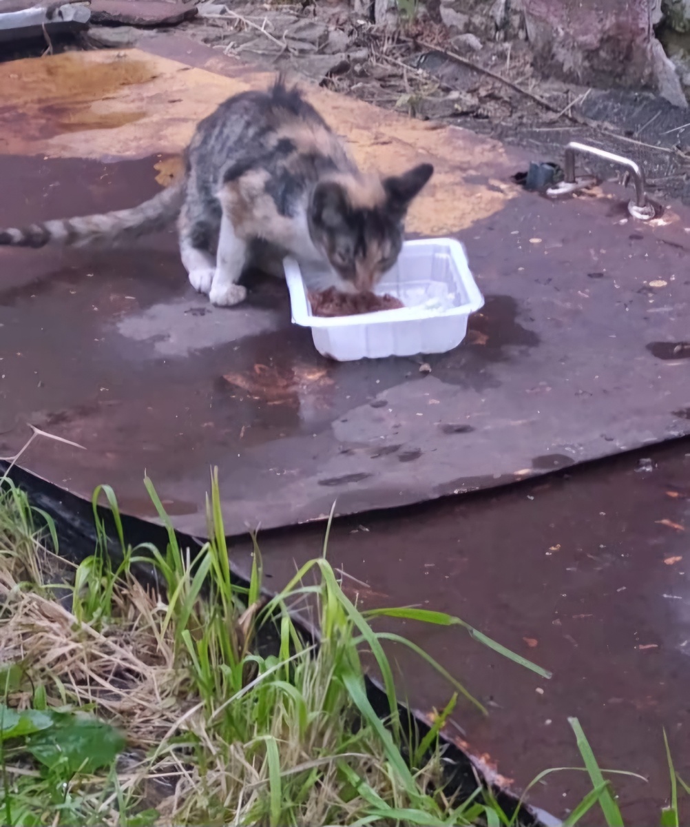 Фото автора. Пыталась поесть,но нос заложен.
