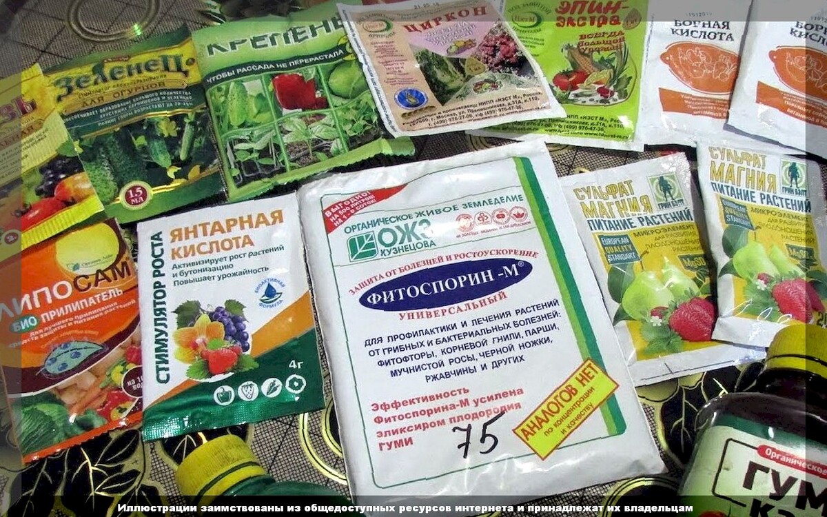 https://vk.com/photo-159774511_457266501
