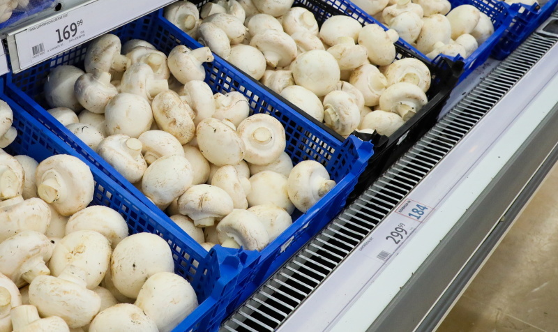    Фото: © Petrov Sergey/news.ru/Globallookpress