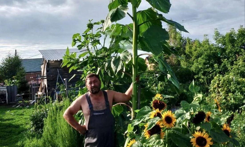 Фото: телеграм-канал «Новосибирск №1»