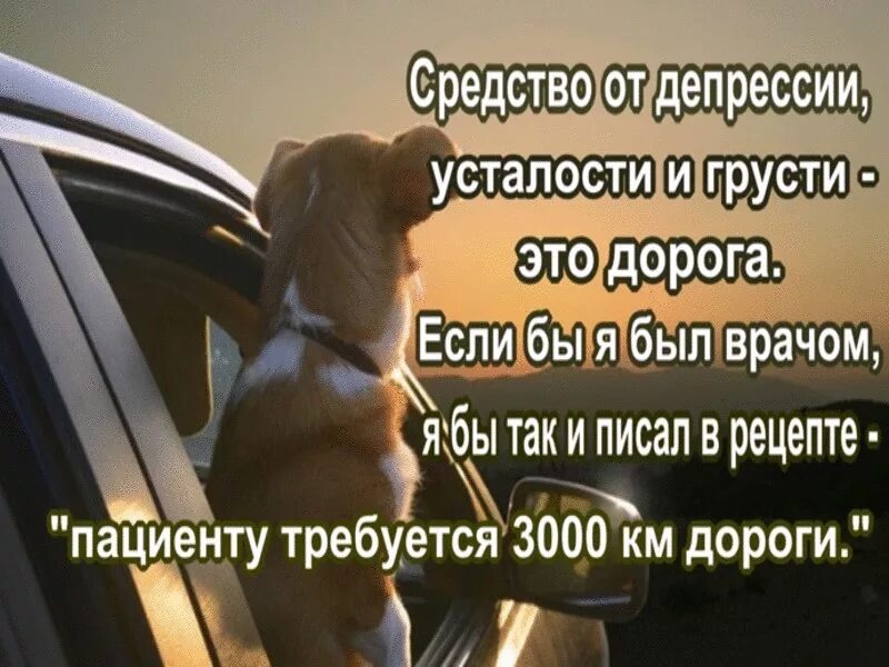 Фото из открытых источников интернета