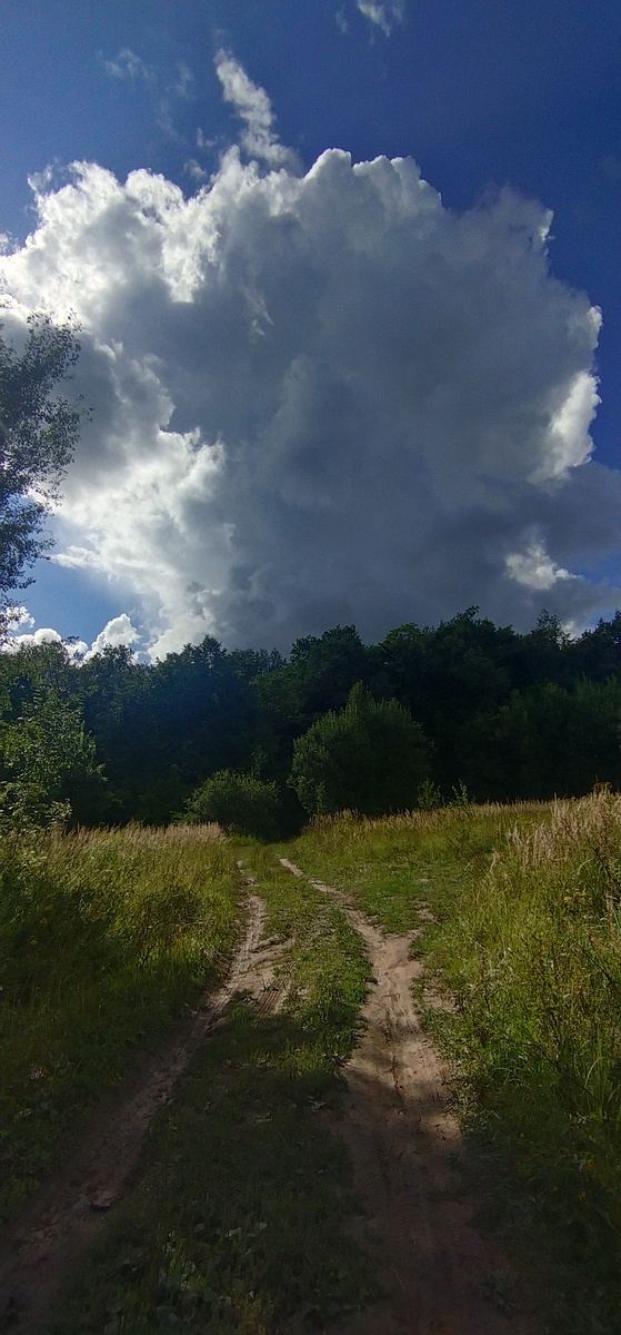 Личное фото