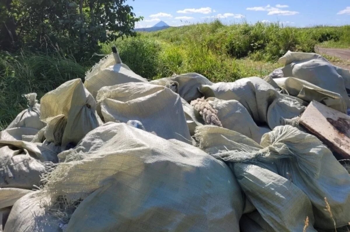    На Малой Лагерной на Камчатке собрали 2 тонны пластика и стекла