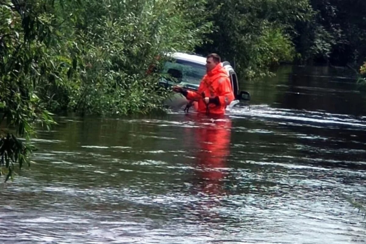    Рыбак едва не утонул в луже в ЕАО