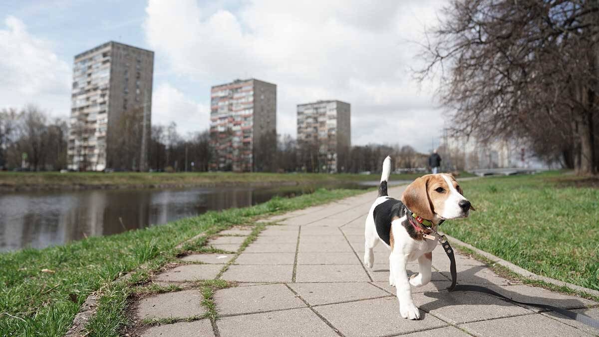    Фото: Пелагия Тихонова / АГН Москва