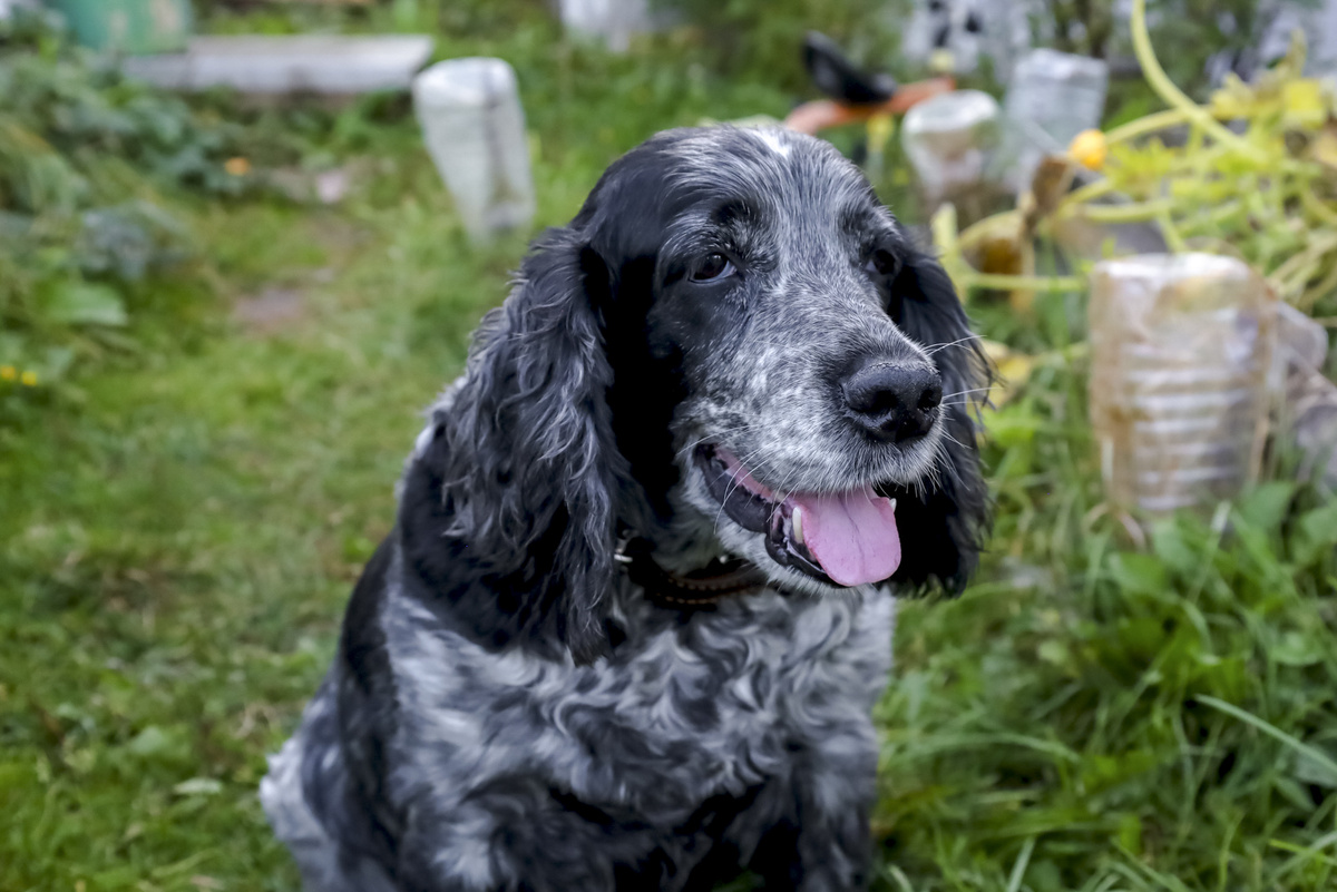 Уголовное дело расследовали год.  Фото: Фото: ФедералПресс / Елена Майорова