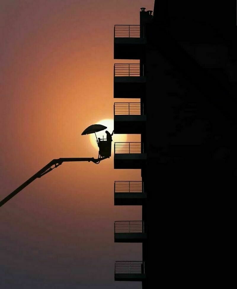    15 случайных уличных снимков, которые поднимут настроение