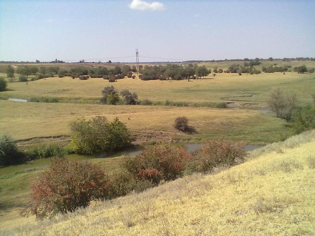 Фото Людмилы Ю. 