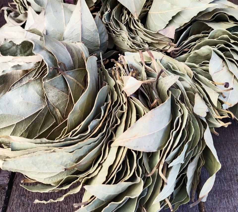 Идеальный лавровый лист