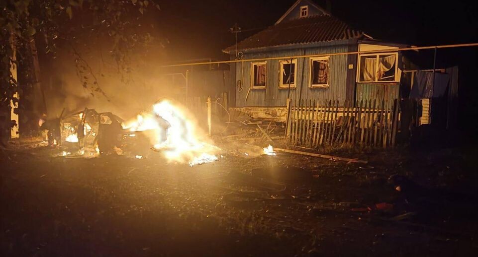     губернатор Белгородской области Вячеслав Гладков / Telegram