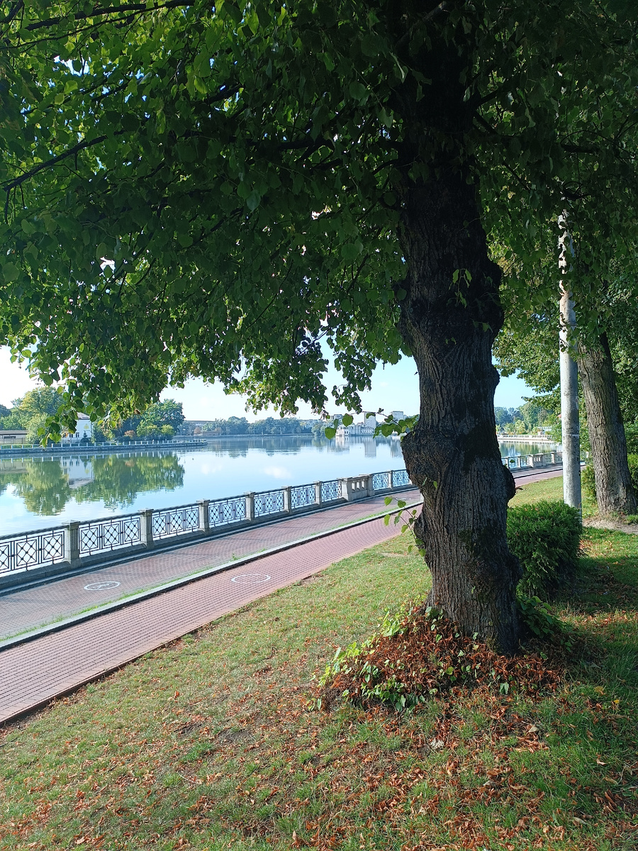 Эх скоро фото для обложек будут другими