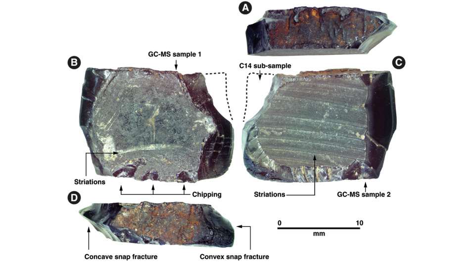   Dylan Gaffney et al. / Antiquity, 2024