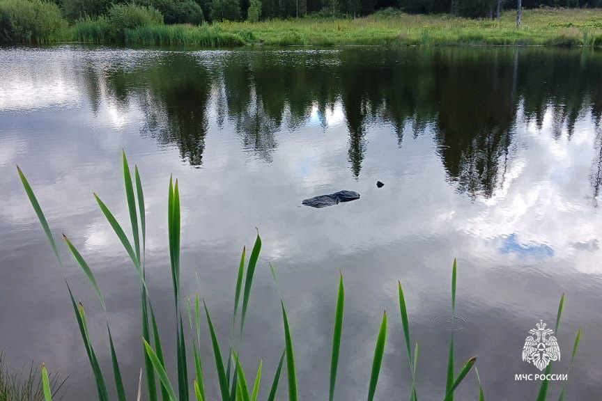    Фото: ГУ МЧС России по Пермскому краю Екатерина Устькачкинцева