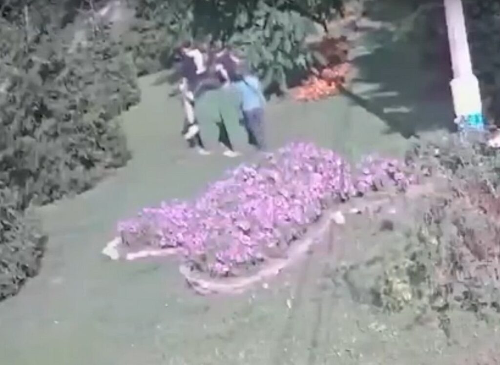    Скриншот видео