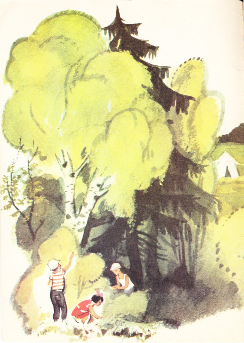 Форзац (оборот обложки)