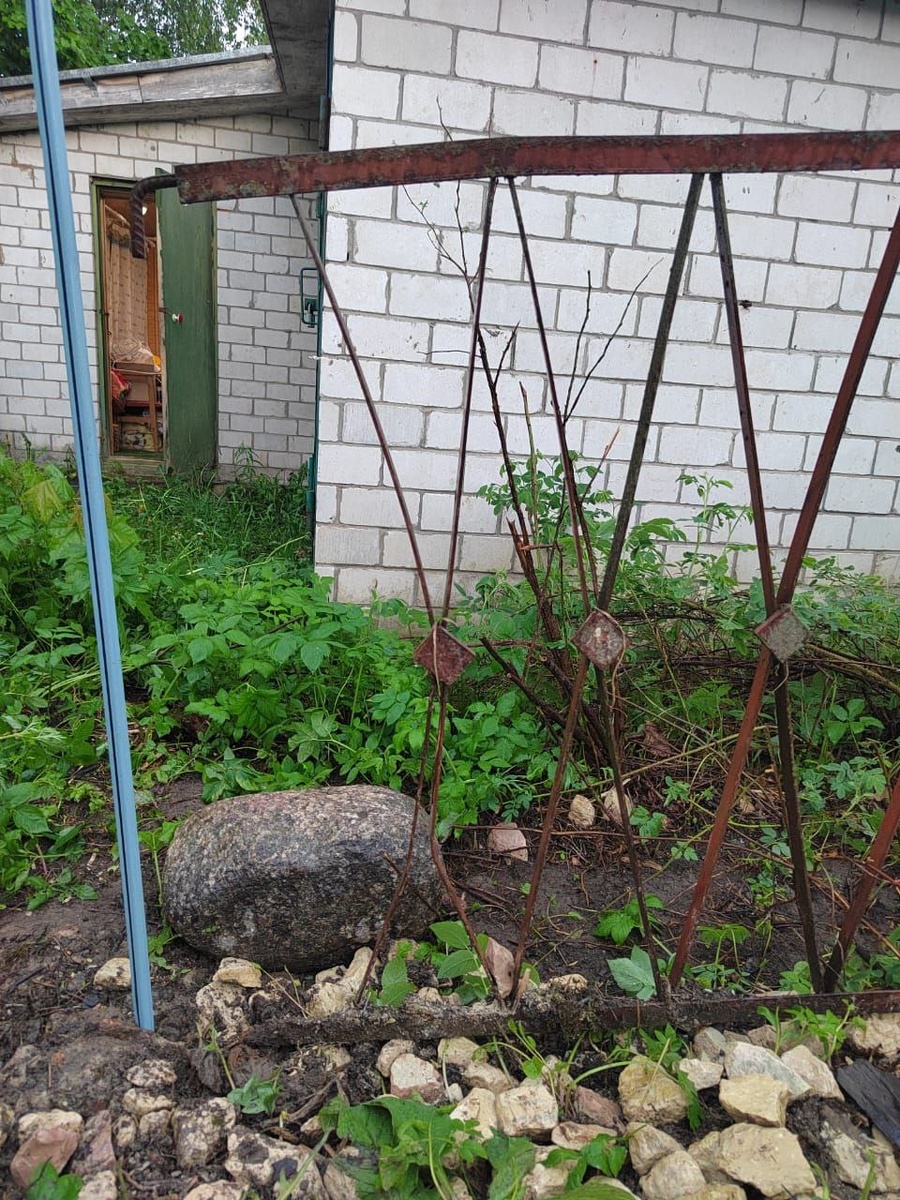    фото: предоставлено «Фонтанке»