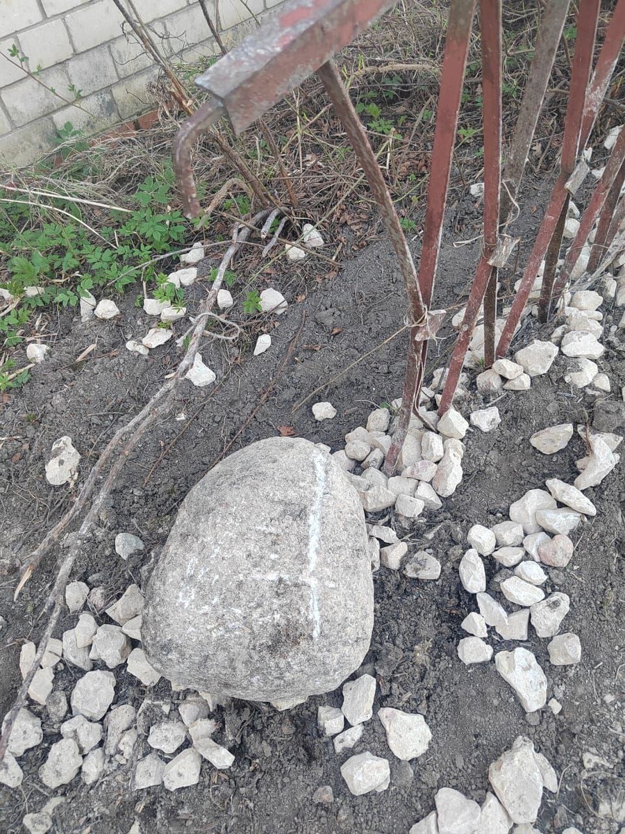    фото: предоставлено «Фонтанке»