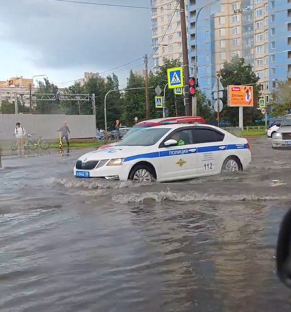    фото: Антон Кубышикн / Грибы и Грибники СПб