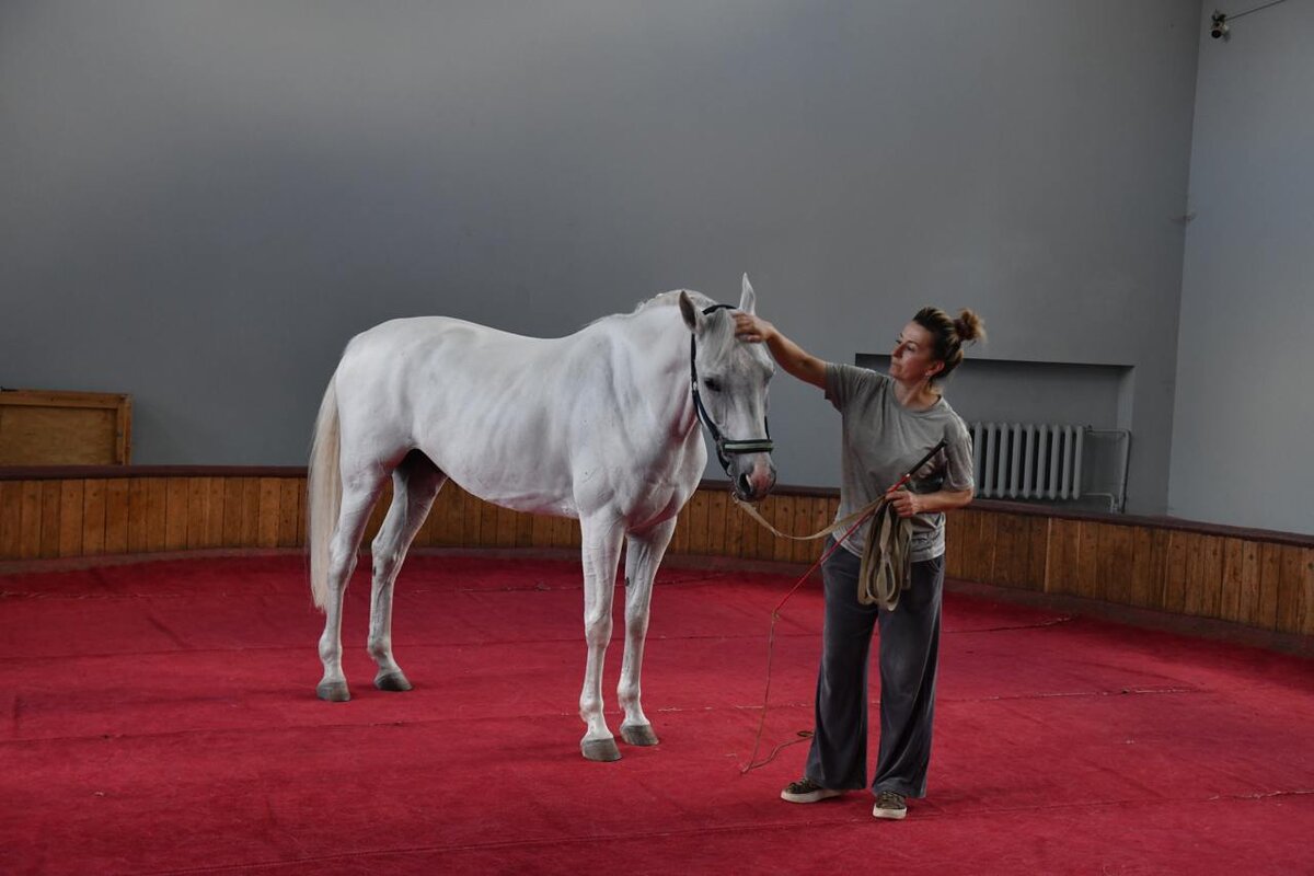    фото: Андрей Бок / «Фонтанка.ру»