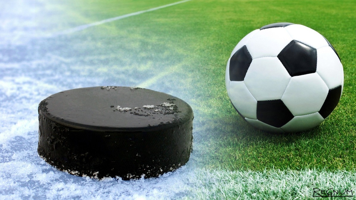 Фото с яндекс.картинки (шайба и мяч)