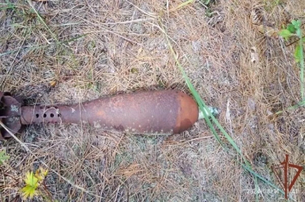    Тамбовские росгвардейцы обезвредили снаряд времён Великой Отечественной