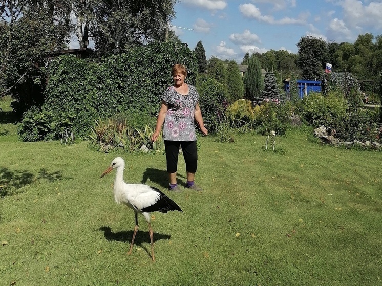     Фото: Юрий Галченков