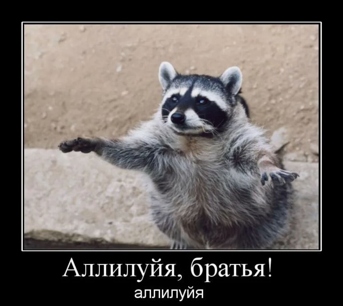 источник Яндекс-картинки