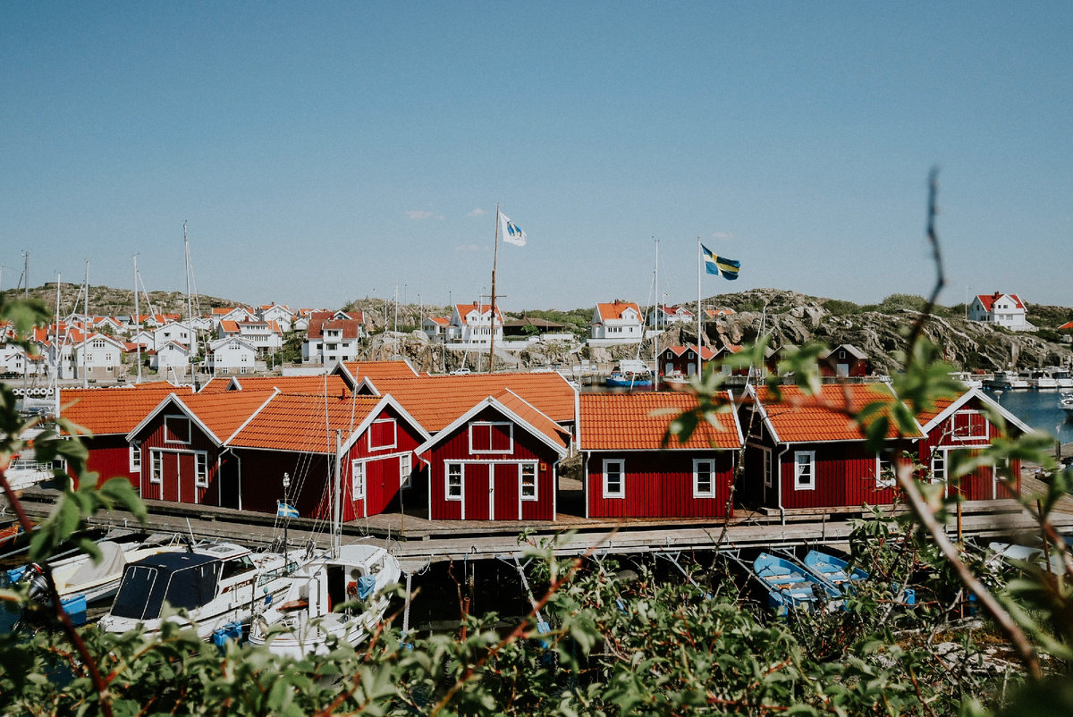 Фото: Arnold Exconde | Unsplash