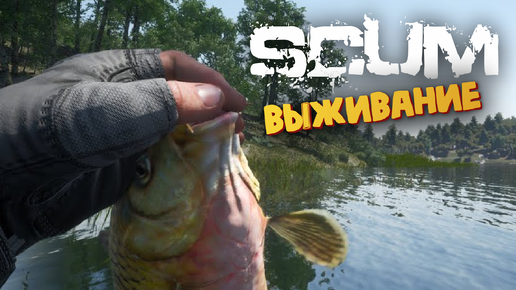 Лучшая Выживалка (РЫБАЛКА) - SCUM #20