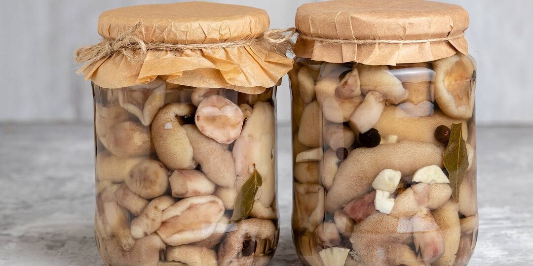 Грибы на зиму в банках. Как заготовить быстро и просто