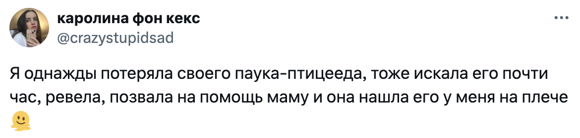 Источник: x.com