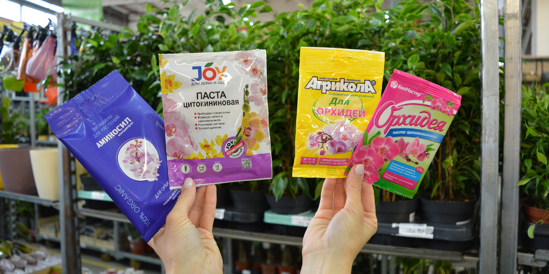 ❓КАК ПЕРЕСАДИТЬ ОРХИДЕЮ ФАЛЕНОПСИС В ДОМАШНИХ УСЛОВИЯХ❓