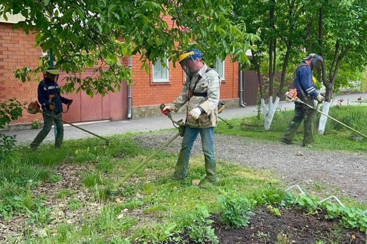    Волгоградцы примут участие во всероссийской национальной уборке