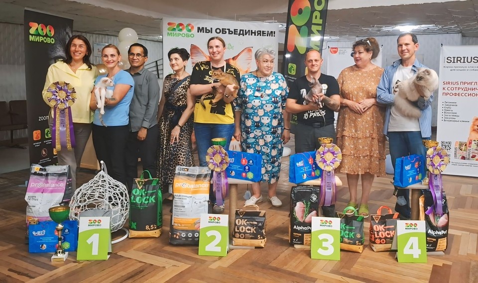    Кошки объединяют культуры. Фото предоставлено клубом любителей кошек Santa Felina