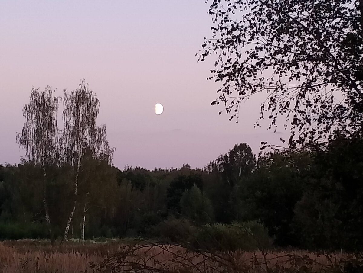 Скоро полнолуние. Одинокая и прекрасная Луна